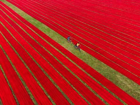 Aerial view of vibrant red fabrics spread out on the green grass, with two cyclists riding along the path, Narsingdi, Dhaka Division, Bangladesh.