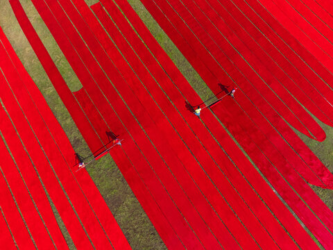 Aerial view of vibrant red fabrics stretched across a lush green field, creating a striking contrast of color and texture, Narsingdi, Dhaka Division, Bangladesh.