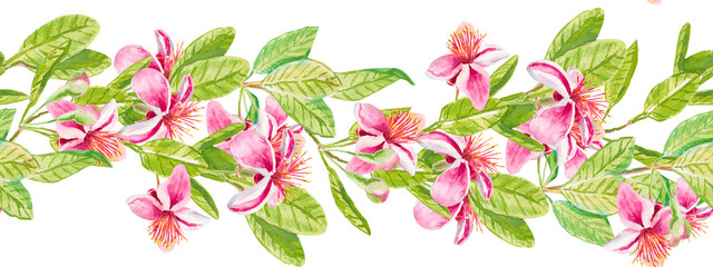 Feijoa branch. Seamless horizontal pattern with feijoa flowers, leaves and buds. Hand drawn fresh watercolor for printing on kitchen decor, fabric, wallpaper, paper, curtains, prints, wrapping paper