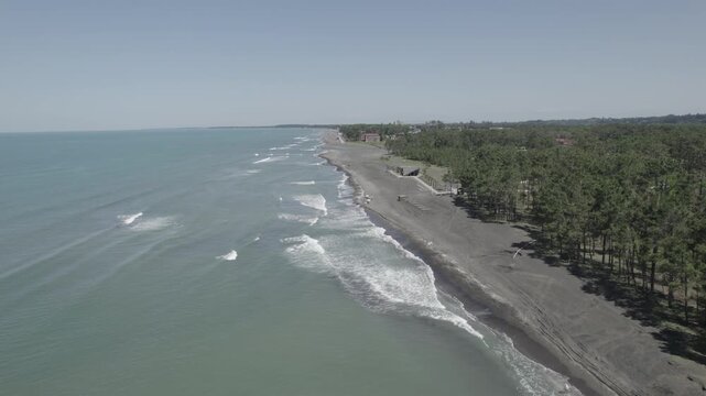 Aerial view of the Black Sea coastline near Shekvetili in Guria, Georgia, showing a beach with dark sand bordered by pine forest.