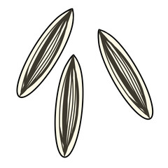 Sunflower seeds simple illustration
ひまわりの種 シンプル イラスト