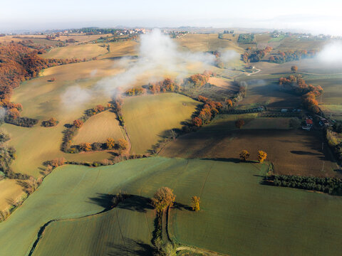 Aerial view of rolling hills and fields painted with the soft, golden light of dawn, where pockets of fog dance between the trees, Morcella, Umbria, Italy.