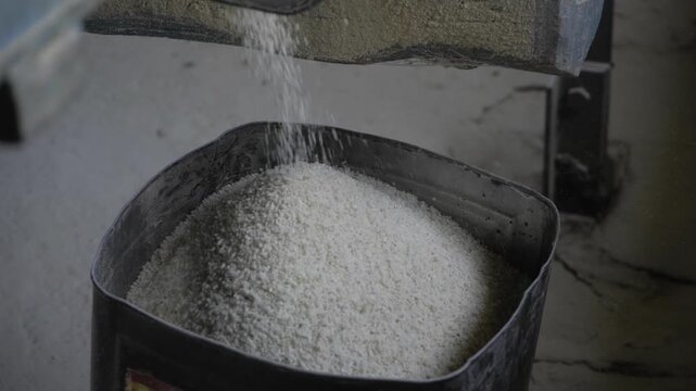 Vivid Rice Mill Action - Grains in Motion