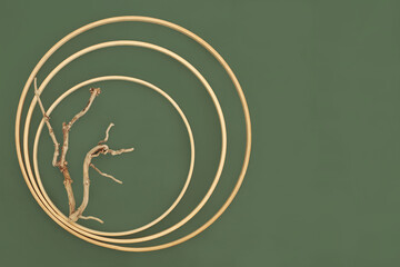 Zen driftwood background border with round frames. Surreal minimal natural rustic design for logo, business card, greeting card, label. On green.