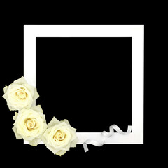 White rose flower background border frame with white ribbon. Romantic design for invitation or greeting card. 