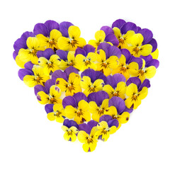 Romantic pansy flower wreath in yellow purple colors on white. Floral concept arrangement for logo decoration or greeting card. Mystique variety.