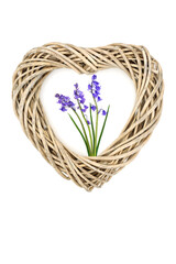 Heart shape wicker frame with bluebell flowers of Springtime. Romantic decorative symbol of love for Mothers Day, Beltane festival, birthday card or logo.