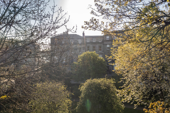 Aerial view of the grand buildings of Moray Feu stand, framed by the delicate tracery of branches and the vibrant hues of spring foliage, Moray Feu, Scotland, United Kingdom.