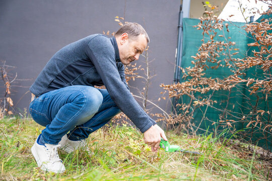 Man pulling weeds by hand in his backyard garden. Symbol of spring garden preparation and eco lifestyle.