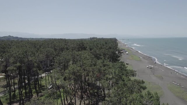 Aerial view of the Black Sea coastline near Shekvetili in Guria, Georgia, showing a beach with dark sand bordered by pine forest.