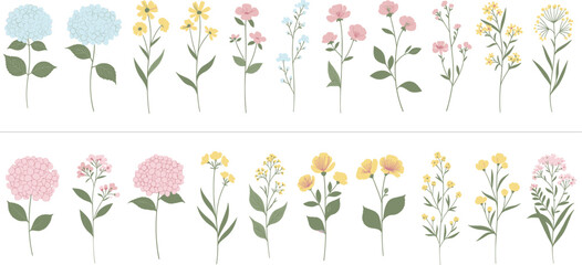 Hand drawn floral illustration set featuring pastel wildflowers, botanical plants, and decorative nature elements