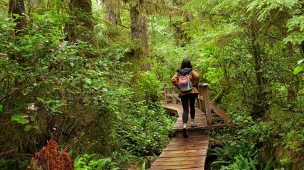 Female tourist navigating wooden boardwalk through dense, verdant rainforest canopy on vancouver island, surrounded by lush vegetation, moss covered trees, and filtered sunlight