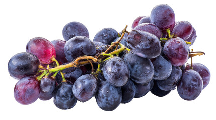 Fresh Black Grapes on Transparent Background