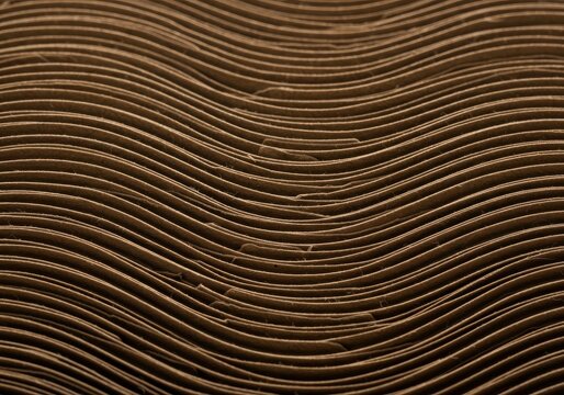 A detailed macro shot capturing the repeating wave patterns and texture of brown recycled corrugated cardboard structure and fluting layers ,cardboard ,curve ,wave