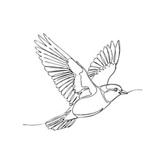 Obraz premium Graceful Flight: A minimalist line drawing captures the essence of a bird in mid-flight, showcasing its delicate form and the fluidity of motion.