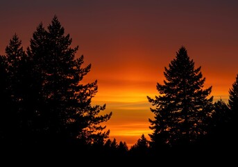 Dramatic evening view of a vibrant orange sky with dark trees creating a sharp silhouette against the setting sun ,intense ,glowing ,bright