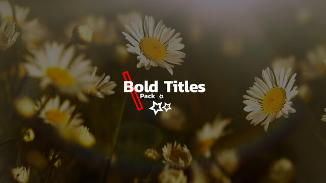 Bold Title 1
