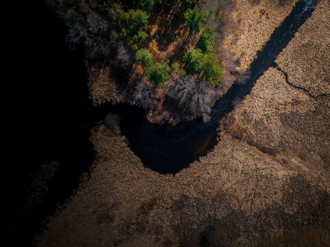Aerial view of a serene black river snaking through golden reeds and a small patch of green trees, Boston, Massachusetts, United States.
