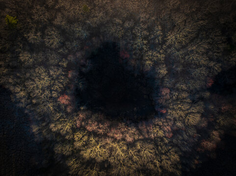 Aerial view of a dark void surrounded by a forest with trees displaying a mix of golden hues and deep shadows, Boston, Massachusetts, United States.