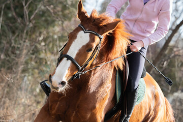 A young girl riding a chestnut horse in rural countryside.