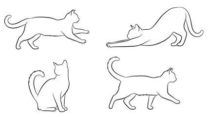 Simple line drawings depict four cats in various poses and outlines