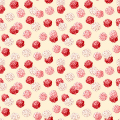 Colorful raspberry pattern featuring red and white berries on light beige background, creating vibrant and fresh design suitable for various applications