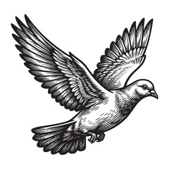 Flying White Dove Bird Vintage Engraving