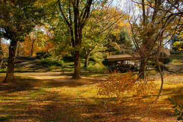 Paisaje de un parque p&uacute;blico en oto&ntilde;o en Nueva York, EEUU. Jardines de Central Park. Pinebank Arch, el puente peatonal rodeado de &aacute;rboles y de hojas ca&iacute;das. Noviembre 2019.