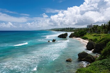 Naklejka premium Scenic barbados beach with clear blue sky and lush greenery