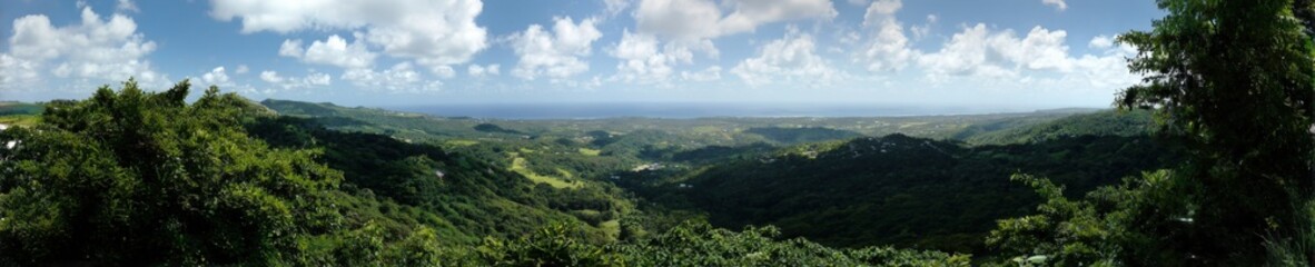 Fototapeta premium Vibrant green landscape with ocean view under cloudy sky