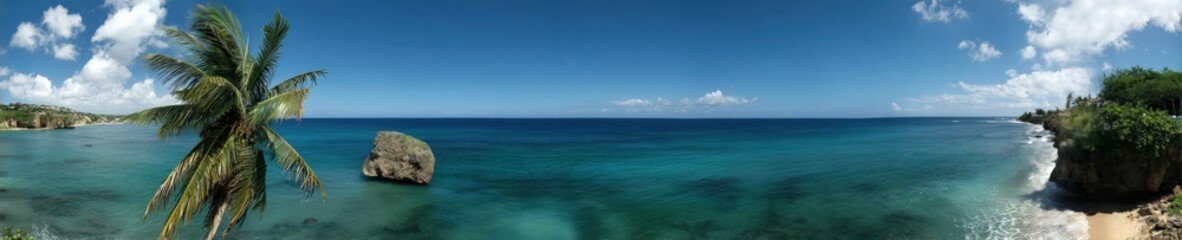 Fototapeta premium Panoramic view of tropical beach with blue ocean, palm trees, and clear sky