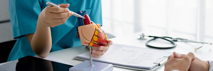 cardiologist educates a patient about heart disease using a heart model in hospital