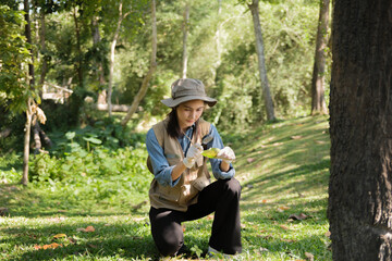 Female botanist examines plant leaves and grass in outdoor field for agricultural eco