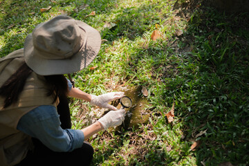 Female botanist examines plant leaves and grass in outdoor field for agricultural eco