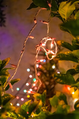 Close-up of a garland against the background of a Christmas tree.
