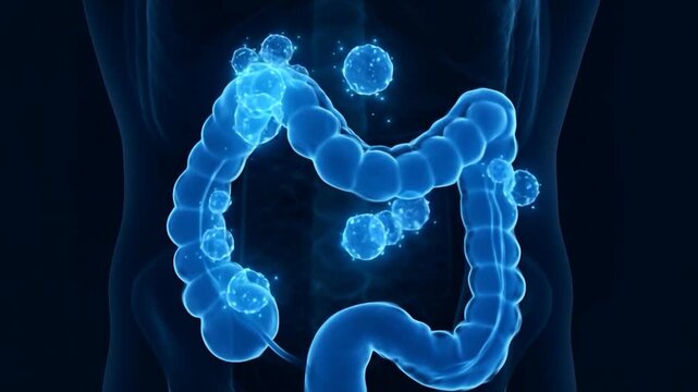 Dynamic animations illustrate the process of digestion and the  good bacteria that help maintain the natural balance of organisms - microflora - inside the stomach in a transparent human.