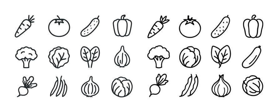Simple line art vegetables including carrot tomato cucumber onio