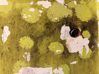 A damaged wall covered with black mold and peeling yellow paint reveals moisture issues caused by poor ventilation