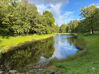Beautiful landscape, small pond in the forest.