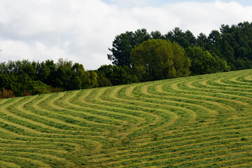 秋の美瑛の風景