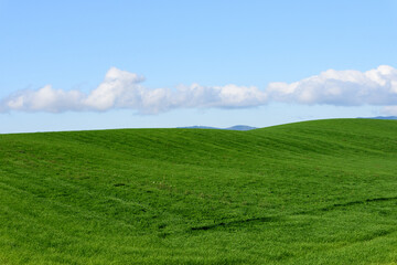 秋の美瑛の風景