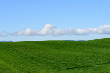 秋の美瑛の風景