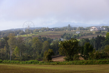 秋の美瑛の風景