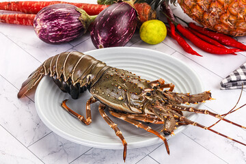 Raw wild fresh spiny lobster