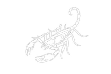 Detailed illustration of scorpion with menacing posture on black and white background