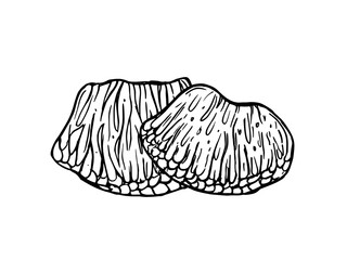 Monochrome two peeled grapefruit segments vector isolated illustration painted by black inks. Juicy pulp of tropical citrus fruit slices etching drawing for food packaging, juice labels, diet blogs