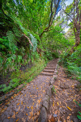 Levada das 24 Fontes, Levada do Risco, Mountain Footpath, Irrigation Channel Maintenance Trail, Madeira, Portugal, Europe