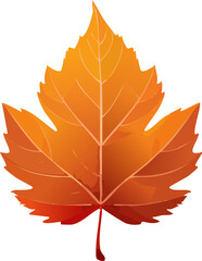 Naklejka premium Classic single autumn maple leaf in rich orange and brown colors with pronounced veins and a short stem, isolated white background.