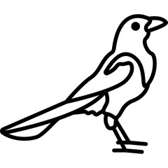 Magpie Bird Line Icon: Intelligence and Wildlife
