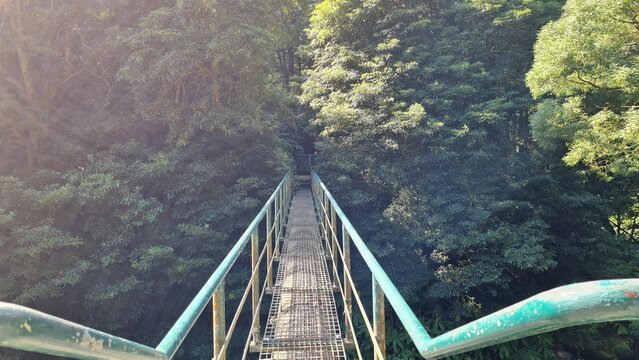 Hiking trail with bridge through green forest on Sao Miguel Island, Azores, Portugal - Powered by Adobe